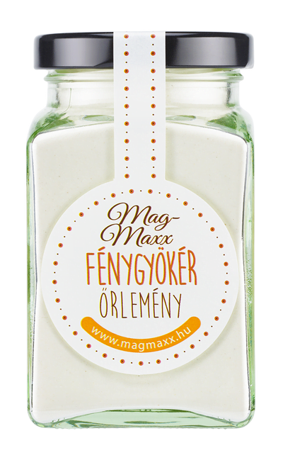Fénygyökér